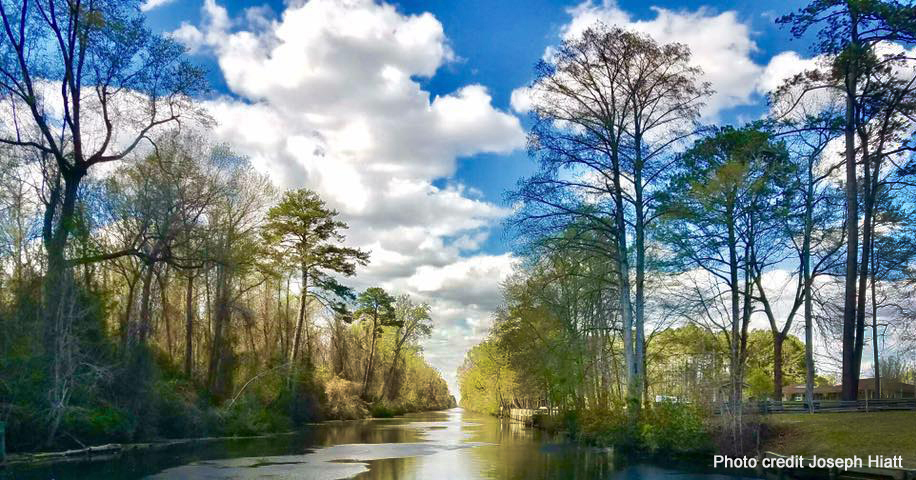 Dismal Swamp State Park